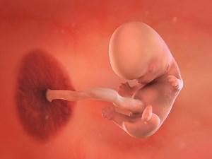 9 Weeks Pregnant: Symptoms, Belly Pictures & More