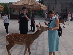 中国·开封诚邀天下游客