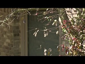 Troy police: Home invader touches woman in bed