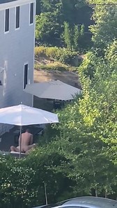 Incredible things caught on camera.