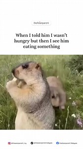 Girlfriend Tax: When One Bite Becomes Half Your Meal