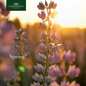 Spring is a season of wonder, where even the most ordinary endeavours become remarkable. | Pam Golding Properties