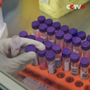 The city of Harbin, #Heilongjiang Province, has set up a mobile, inflatable lab in just 18 hours capable of testing over 60,000 tubes of nucleic acid samples a day to fight a COVID-19 outbreak that hit the city late last month. #ChinaSpeed The mobile lab, located at a sports center, is currently accommodating staff members from seven local medical institutions. It supports on-site testing for swab samples. | Xi's Moments