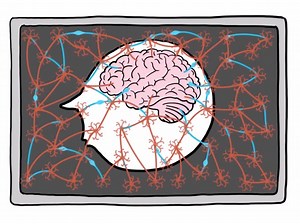 Microsoft Demos 'Project Adam' Neural Network for Image Recognition