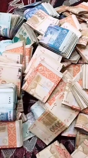 Exploring Diverse Banknotes and Their Unique Features