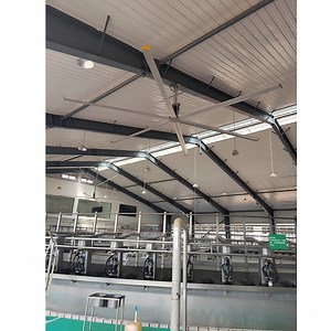 [Hot Item] Industrial Ventilation Dairy Farm Ceiling Fan
