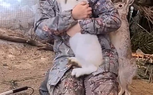奋力挣脱的野兔