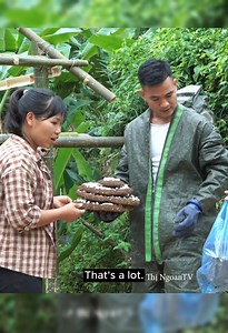 379K views · 5.1K reactions | take it cook for dung dau, why not 凉  沈 #momlife #singlemom #short #mom #fblifestyle | Julie C. Nunez | Facebook