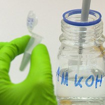 Video: Immunofluorescence Microscopy of γH2AX and 53BP1 for Analyzing the Formation and Repair of DNA Double-strand Breaks