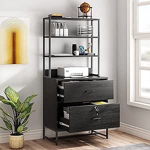 Jehiatek File Cabinets for Home Office with Lock 2 Drawer, Office Organization and Storage, Large Vertical Filing Cabinet with Bookshelf, Sturdy, Durable, Easy to Assemble and Clean (Black)