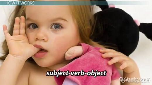 Chomsky's Language Acquisition Device | Overview & Theory