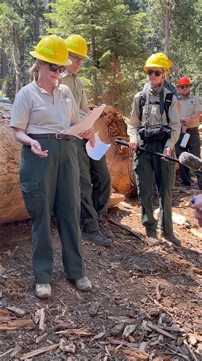National Old-Growth Amendment, July 10, 2024, Sequoia National Forest Field Meeting. | U.S. Forest Service - Sequoia National Forest | Facebook