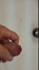 10day load Info the sink