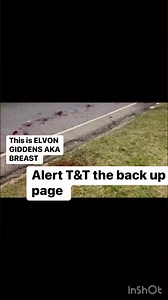 BREAST OF BEETHAM GARDENS SHOT... - Alert T&T The Backup Page