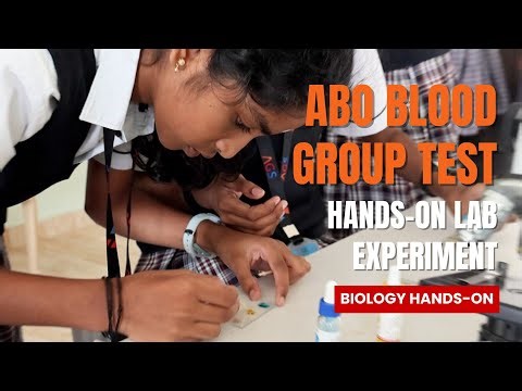 ABO Blood Group Test | Starch Test & Protein Test | Biology Hands-on #bloodgroup #bloodtest #biology