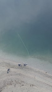 Spring has sprung 🙌✨🌸🐿️ #flyfish #flyfishing #fishing #fish #nature #water #rainbow #drone #dji #dronecinematic #djimini #asmr #beauty #catchandrelease #canada #mountains | Haydn Gjaltema