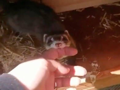 人，你快来看！