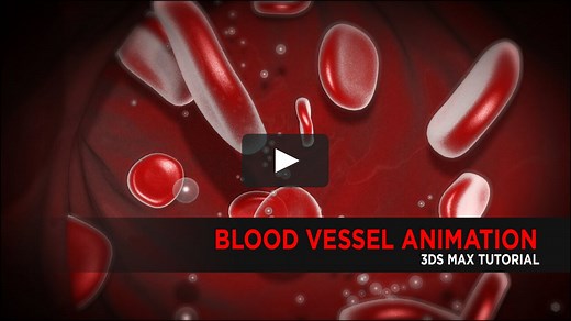 Blood Vessel Animation in 3DS Max : Tutorial