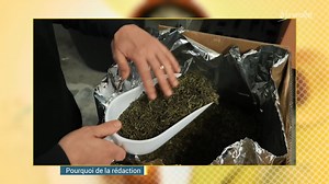Peut-on faire confiance au label bio ? - Le pourquoi de la rédaction