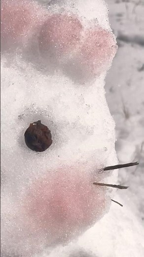 HELLO KITTY SNOWMAN❄️🍧❤️ #sanrio #snowday # #cute #sanriogirl #hellokitty