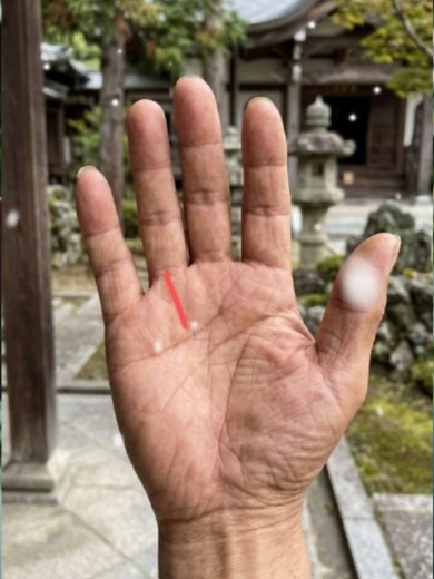 最強の手相とは？2000人に1人の選ばれし線を解説