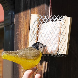 庭の野生動物のための簡単クラフト 🦆 | ５分でできる DIY