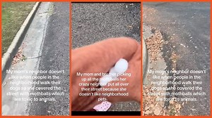 Neighbor from hell tries to poison dogs with toxic mothballs, proving that some people shouldn’t share a planet with the rest of us