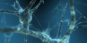 Chronic Depression Linked to Reduced Support Cell Function in Brain | Neuroscience