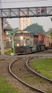 4.1K views · 3.1K reactions | Trem da Rumo carregado com combustíveis, rota; Paulínia, SP - Rondonópolis, MS. Passando pela cidade de Americana, São Paulo, Brasil. . . . . . . . . . #trem #rail #ferroviario #railway #rumo #cosan #trens #locomotiva #locomotive #ferrovias | Trens Brasil Vídeos | Facebook