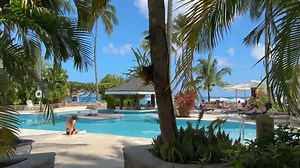 13K views · 286 reactions | We spend 7 beautiful days in St Lucia We also venture into Castries, the capital of St Lucia and spend a few hours at Rodney Bay, a popular tourist destination to the north. Finally, we take an island day trip to the south of the island, to witness the impressive Piton mountains - Petit Piton and Gros Piton, as well as dolphins, waterfalls, sulphur hot springs and snorkelling. Sounds too good to be true? It was Video by carry on Monkey | Sweet St.lucia | Facebook