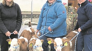 Landwirtsfamilie Gugetzer im Glück: Drillinge im Kuhstall