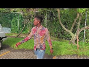 LOGIQ - Protection ft insane dancer