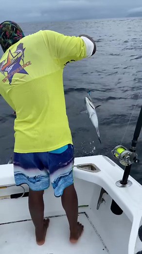 Tuna tubes are the best way to keep fish alive! - - - - #SeaLife #FishingLife #CrabHunting #OctopusAdventures #SquidSpectacle #UnderwaterWorld #FishermanLife #CrabSeason #OctopusLove #SquidInk #MarineLife #GoneFishing #Crabbing #OctopusGarden #SquidLife #OceanTreasures #AnglersParadise #CrabCatch #InkSquid #ExploreTheDeep #fishing #bait #LearnOnfacebook #fish | Urban Florida Fishing | Facebook