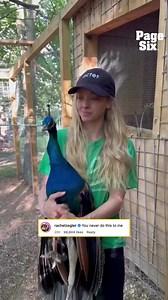 Amanda Seyfried Laughing with Pet Peacock Kevin — Cute Celebrity Moment