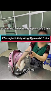 POV: nghe là thấy tội nghiệp em chó ở nhà, em chó ở nhà chắc khổ với bà này dữ lắm #suachosuameo