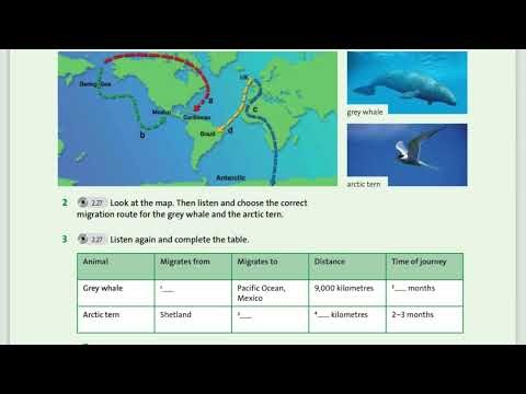 English plus 7. Unit 5. Ex2,3 p74