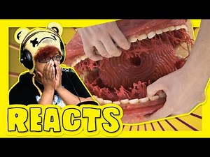 How To Cook Christmas Dinner for An Alien by Will McDaniel | AyChristene Reacts