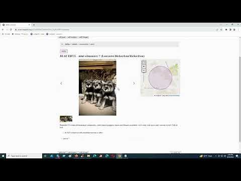 How to Post or Place or Advertise Puppies/Pets Ad on Craigslist