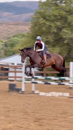 15K views · 359 reactions | Wow what a week we have had here! Had a...