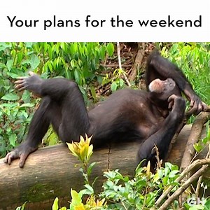 Washington DC Now on Reels