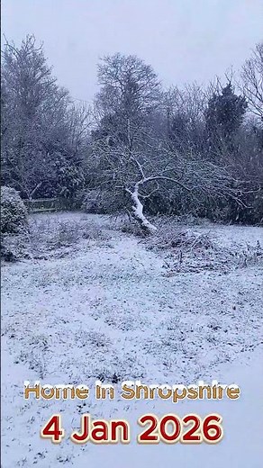 Snow at Home In North Shropshire | Snowfall for Snowballing