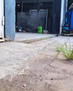 5.6K views · 37 reactions | ⚠️ www.bUGbUs.nEt ⚠️ —> Classifieds and...