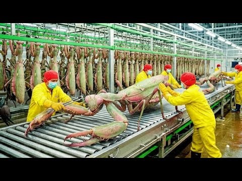 Inside the Idolomantis Factory: How Rare Mantises Turn Into Luxury Perfume (Full Process)