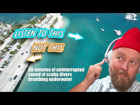 30 minutes | Sound of Scuba Divers breathing underwater, uninterrupted | No music or talking ASMR🤿🎧🐠