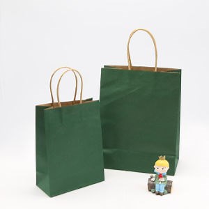 [Hot Item] Printed Colorful Kraft Paper Food Packaging Shopping Carry Kraft Paper Bag Bag