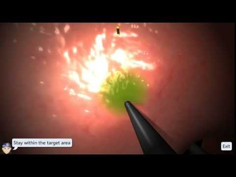 EndoSim Fundamental Endoscopy Skills 2: Retroflexion