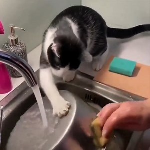 2K views · 132 reactions | เดี๋ยวหนูช่วยล้างนะนุด | รักนะสัตว์โลก | Facebook