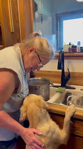 42 reactions | Thank you Auntie Sue! Every week Auntie Sue comes...