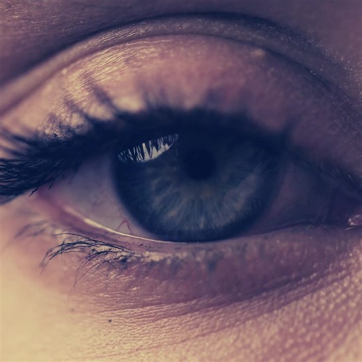 A sickness has claimed the kingdoms of men. Everyone is either sick or dying, weak to a curse that has no cure—except for me. I’m immune to this mysterious illness, and I do my best to heal the sick and ease the pain of the dying. Kingsnake, King of Vampires and Lord of Darkness, marches upon our gates and demands a handful of our healthiest citizens. The vampires have always stuck to their lands and never invaded ours, but their lack of food has made them desperate. King Elias not only succumbs