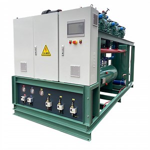 [Hot Item] Large Refrigeration Walk in Freezer Condenser Unit for Cold Storage Room